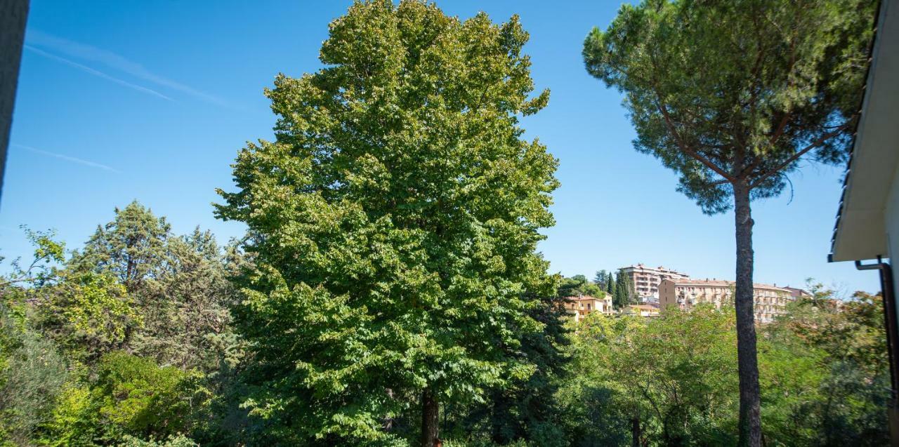 דירות פרוג'ה San Galigano מראה חיצוני תמונה